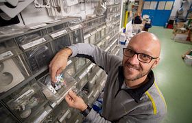 Elektriker bei dem Arbeit